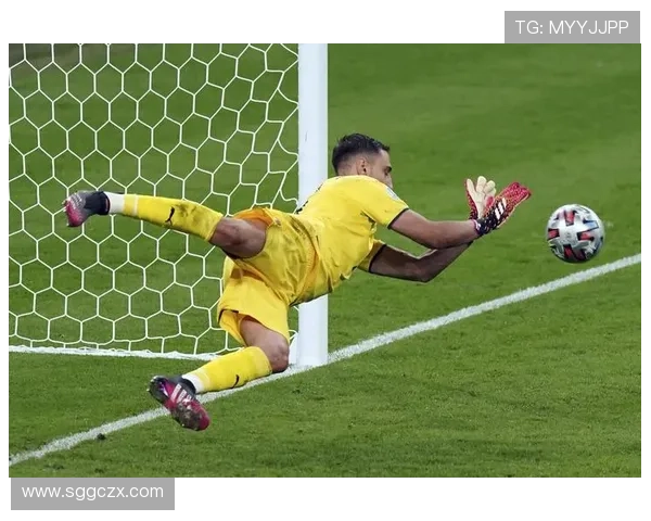 多纳鲁马点球小抄事件引发争议 多纳鲁马点球小抄事件引发争议