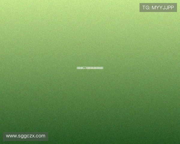 北京上海G3后场火力与末节阵容解析 北京上海G3后场火力与末节阵容解析