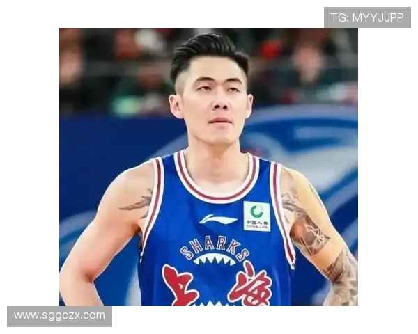 十年坚守终夺冠刘铮盼广厦争光 十年坚守终夺冠刘铮盼广厦争光